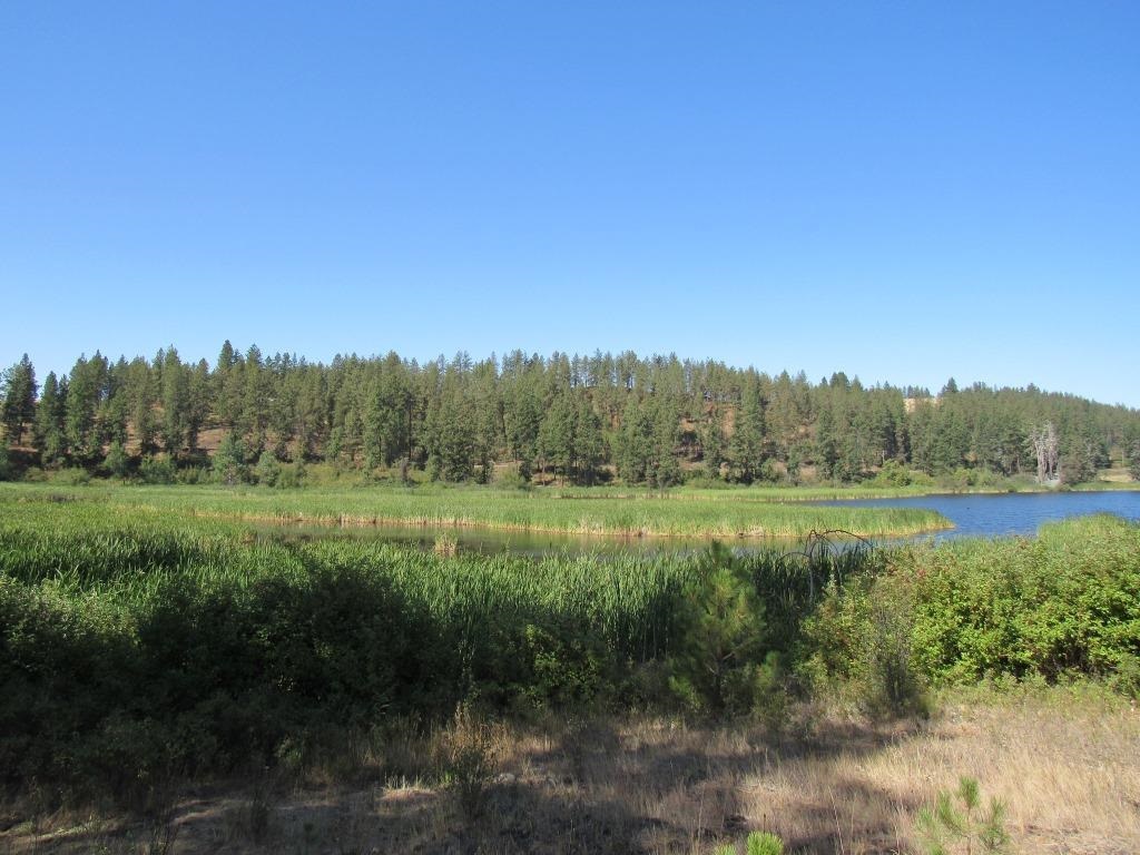 Xx West Meadow Lake Road Cheney, WA 99004 - Photo 31 of 45 Gallery Image 31