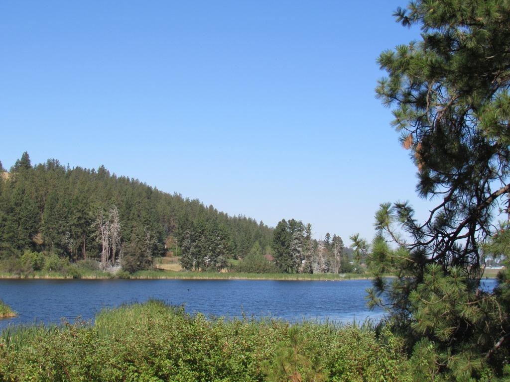 Xx West Meadow Lake Road Cheney, WA 99004 - Photo 33 of 45 Gallery Image 33