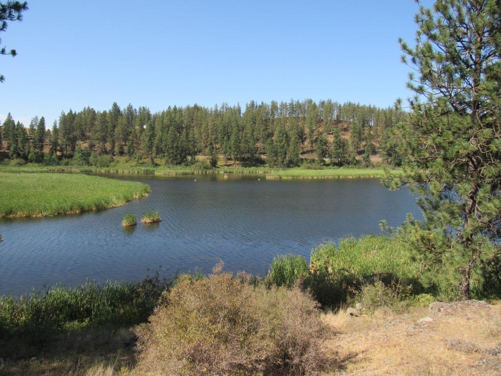 Xx West Meadow Lake Road Cheney, WA 99004 - Photo 36 of 45 Gallery Image 36