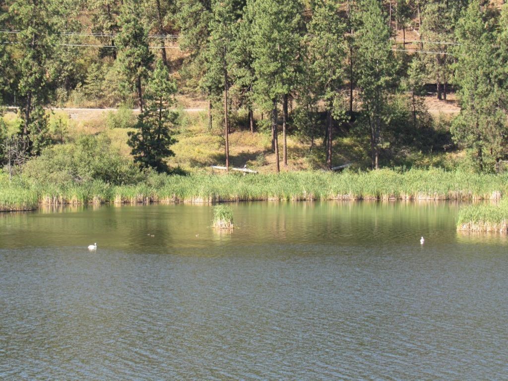 Xx West Meadow Lake Road Cheney, WA 99004 - Photo 37 of 45 Gallery Image 37