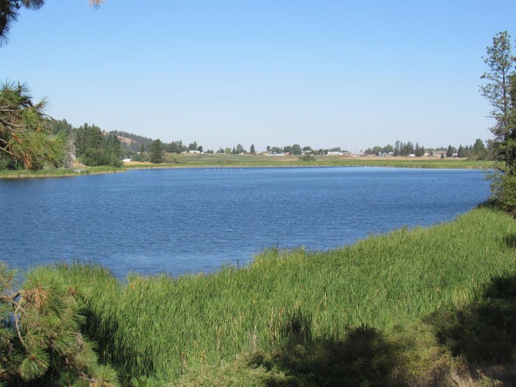 Xx West Meadow Lake Road Cheney, WA 99004 - Photo 38 of 45 Gallery Image 38