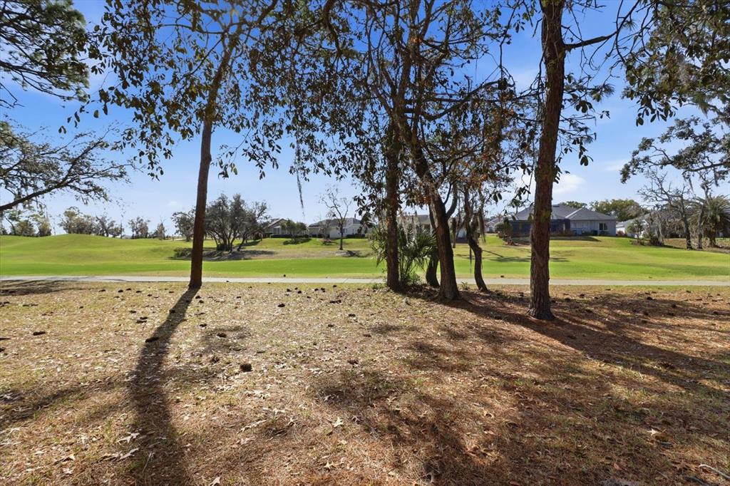 9240 Butler Boulevard Weeki Wachee, FL 34613 - Photo 43 of 47