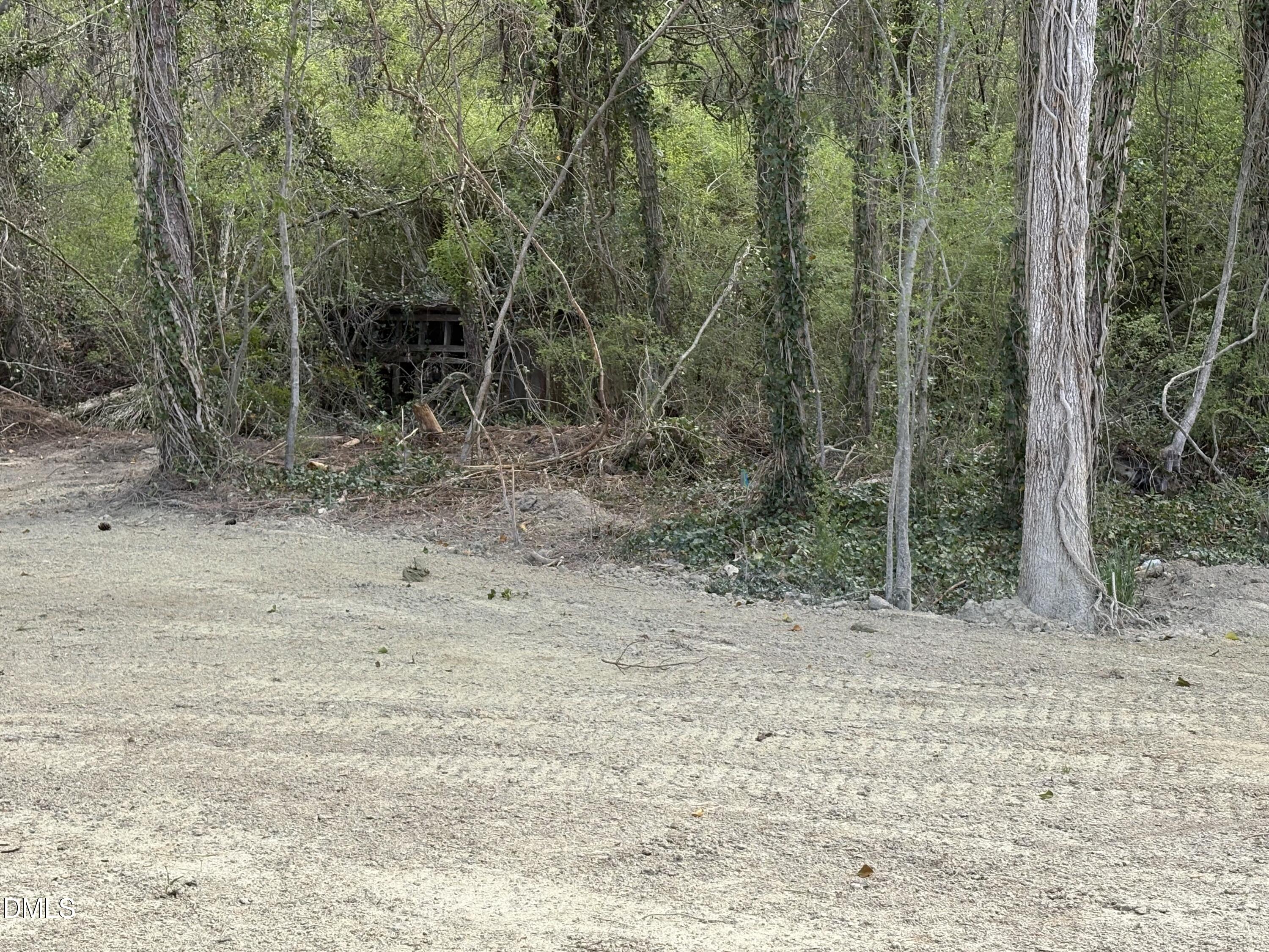 56 Jacobs Ridge Drive Four Oaks, NC 27524 - Photo 17 of 17 a view of a forest filled with trees
