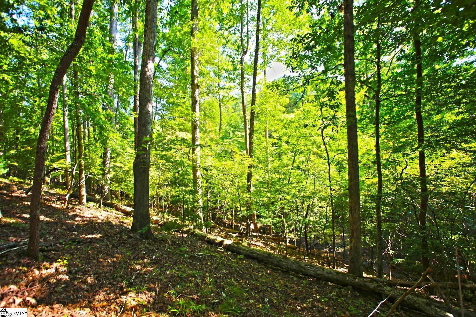 149 Summit Pine Sunset, SC 29685 - Photo 24 of 36 Gallery Image 24