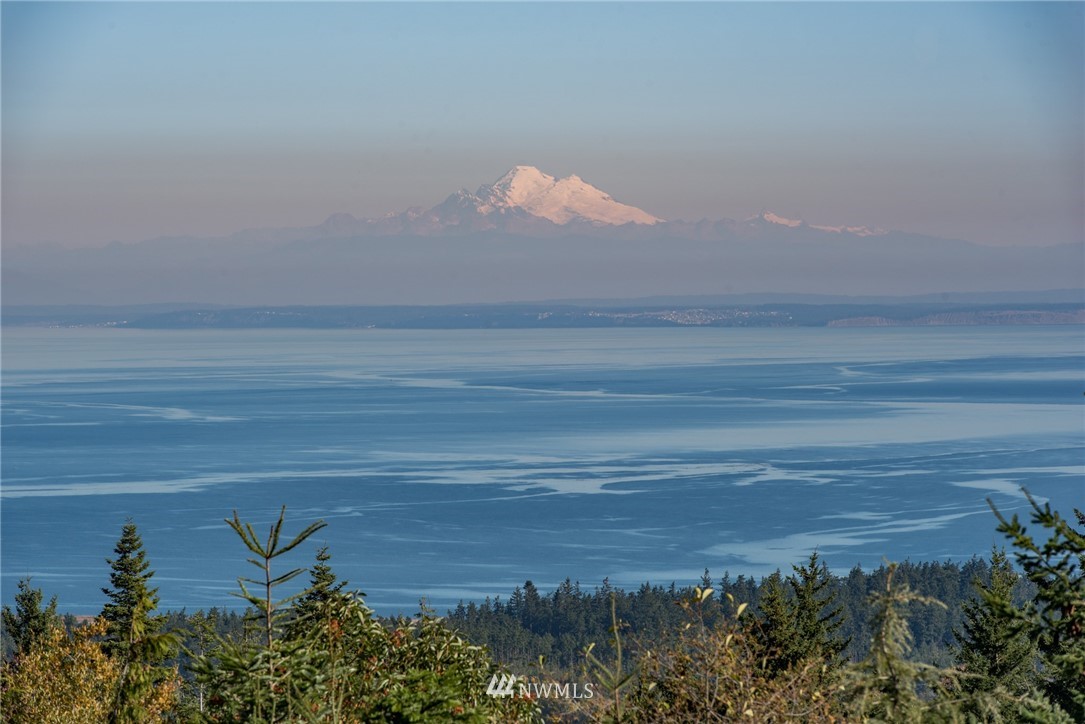 674 Doe Run Road Sequim, WA 98382 - Photo 3 of 25