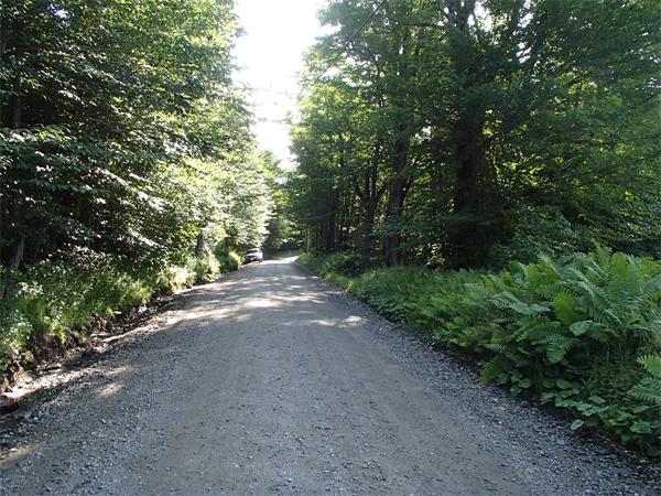 Lot 11 Ashfield Road Hawley, MA 01339 - Photo 17 of 17