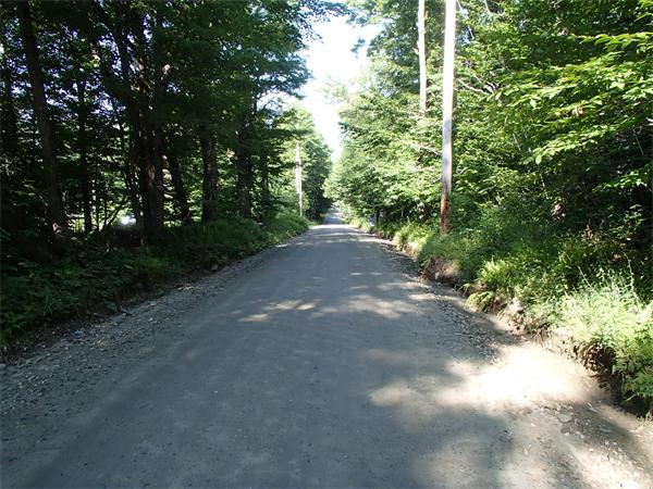 Lot 11 Ashfield Road Hawley, MA 01339 - Photo 2 of 17