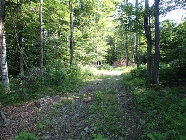 Lot 11 Ashfield Road Hawley, MA 01339 - Photo 4 of 17