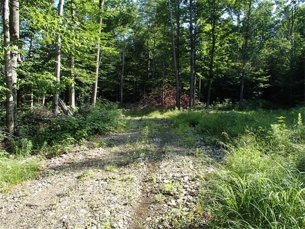 Lot 11 Ashfield Road Hawley, MA 01339 - Photo 6 of 17