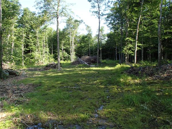 Lot 11 Ashfield Road Hawley, MA 01339 - Photo 7 of 17