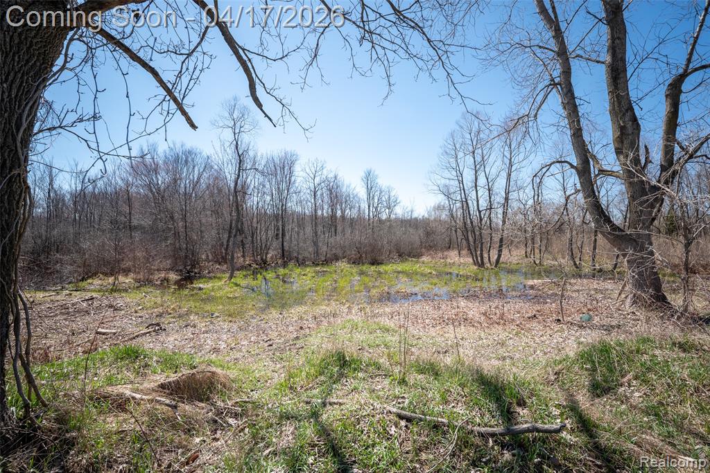 825 West Rose Center Road Holly, MI 48442 - Photo 14 of 29