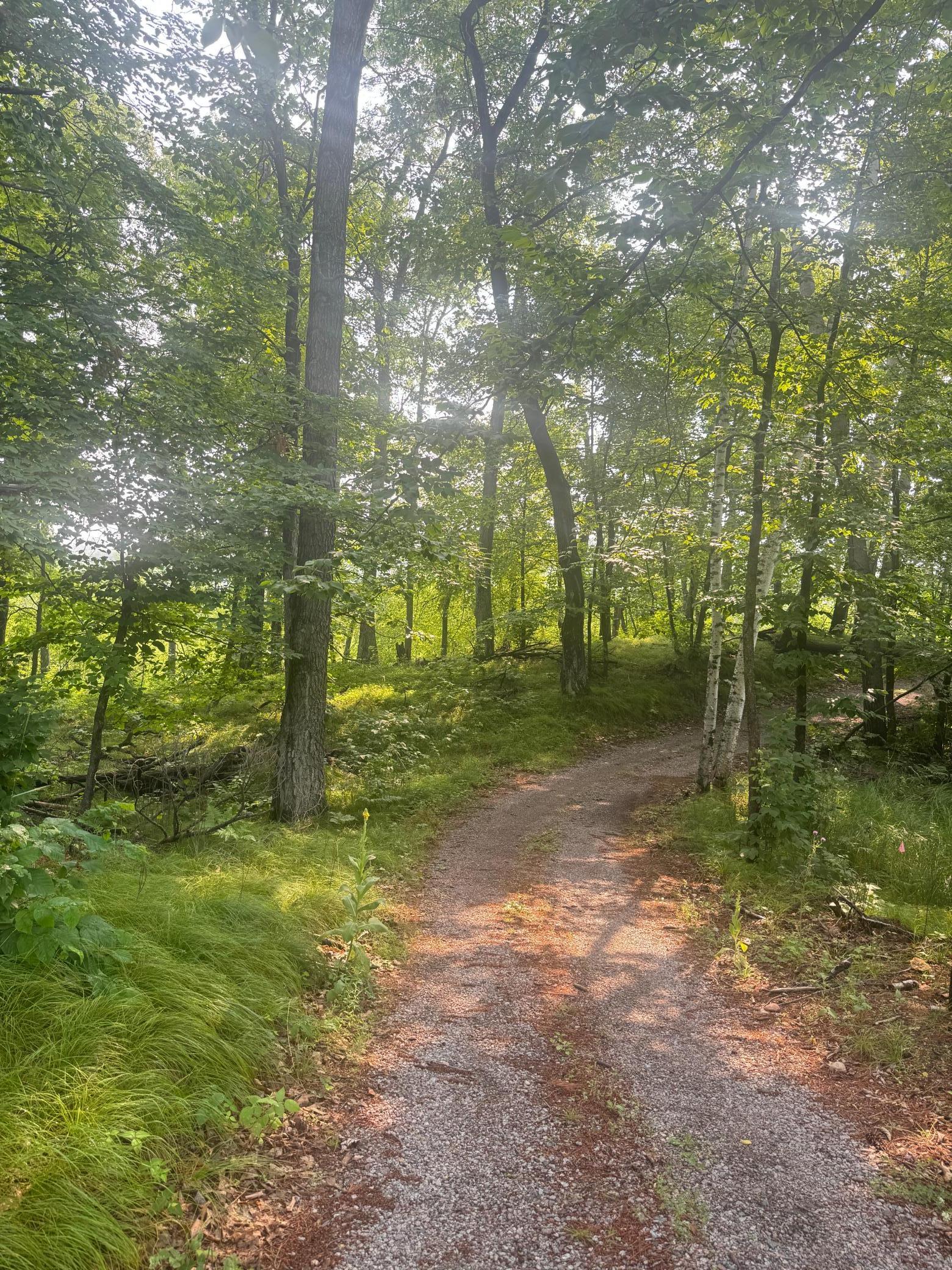 8038 Lost Lake Road, Unit TBD Lake Shore, MN 56468 - Photo 25 of 29