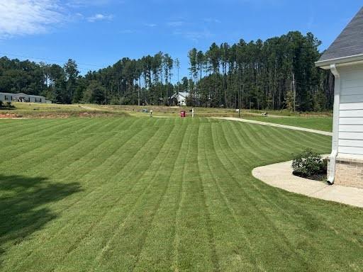 171 Strickland Loop Forsyth, GA 31029 - Photo 21 of 25 a swimming pool with trees in the background