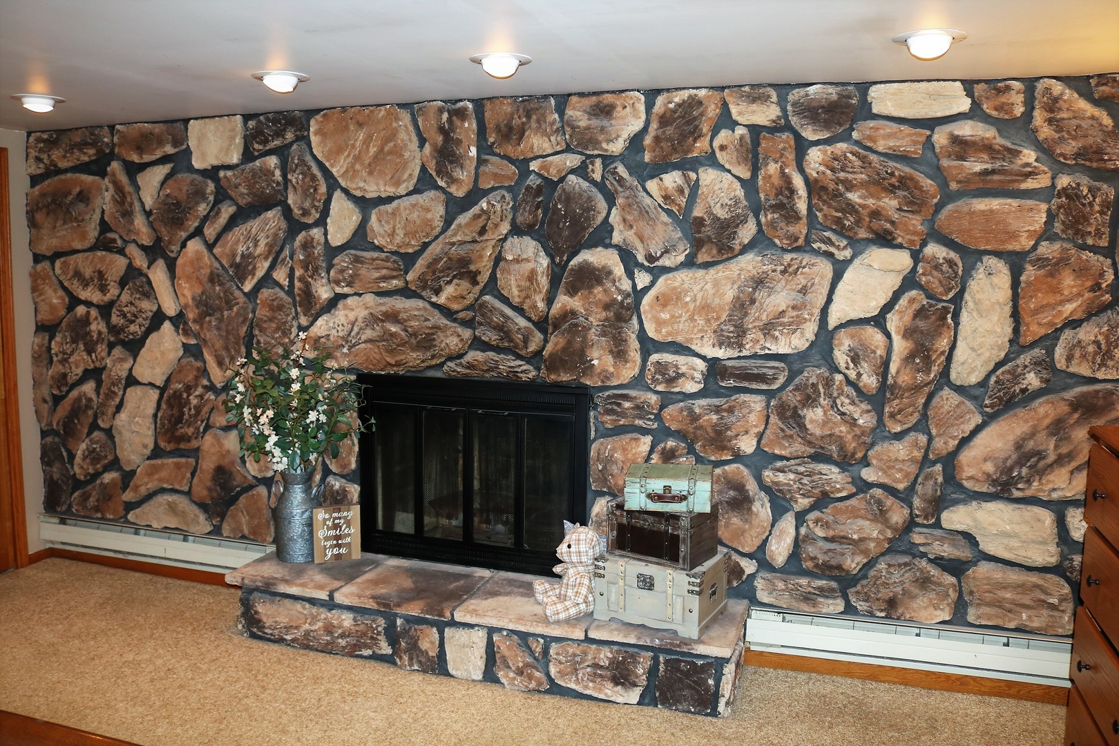 10167 Rich Road DeKalb, IL 60115 - Photo 14 of 31 a living room with a couch and a fireplace