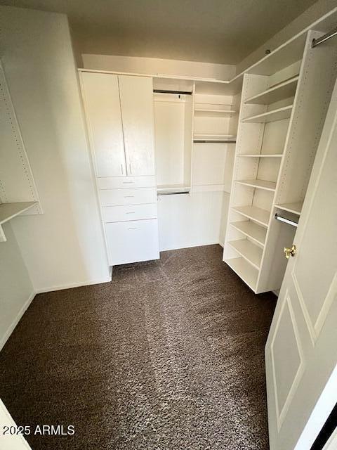 5415 East McKellips Road, Unit 31 Mesa, AZ 85215 - Photo 14 of 16 a view of an empty walk in closet