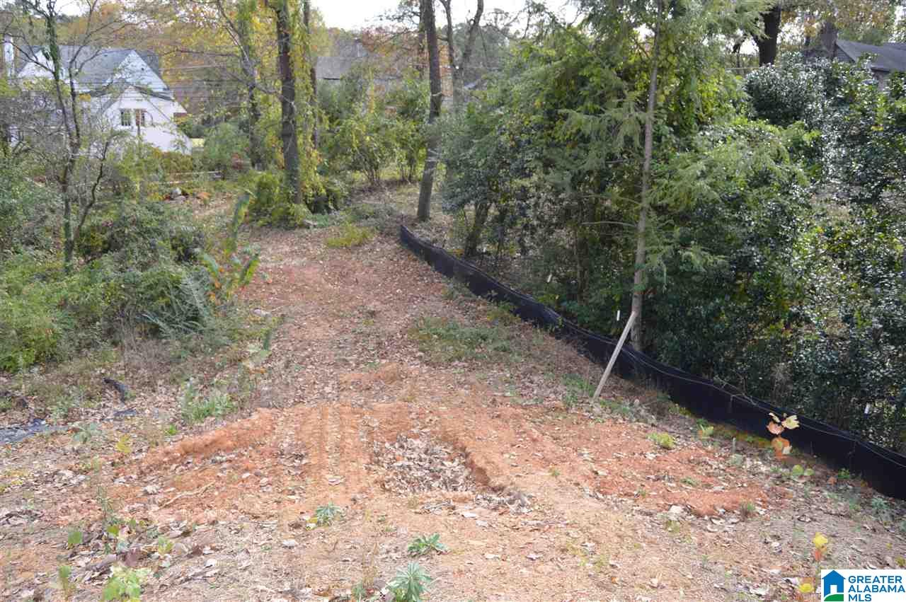 3101 Carlisle Road, Unit 116A Birmingham, AL 35213 - Photo 5 of 6