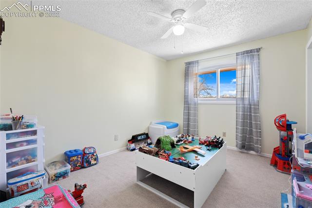 5960 West Condor Road Peyton, CO 80831 - Photo 23 of 44 Gallery Image 23