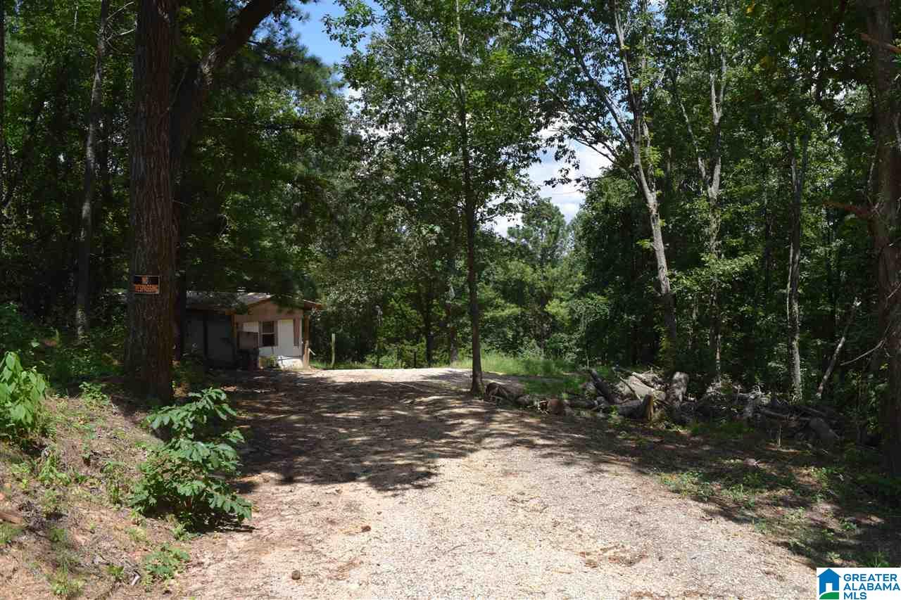 730 Rickwood Cavern Road Warrior, AL 35180 - Photo 1 of 14