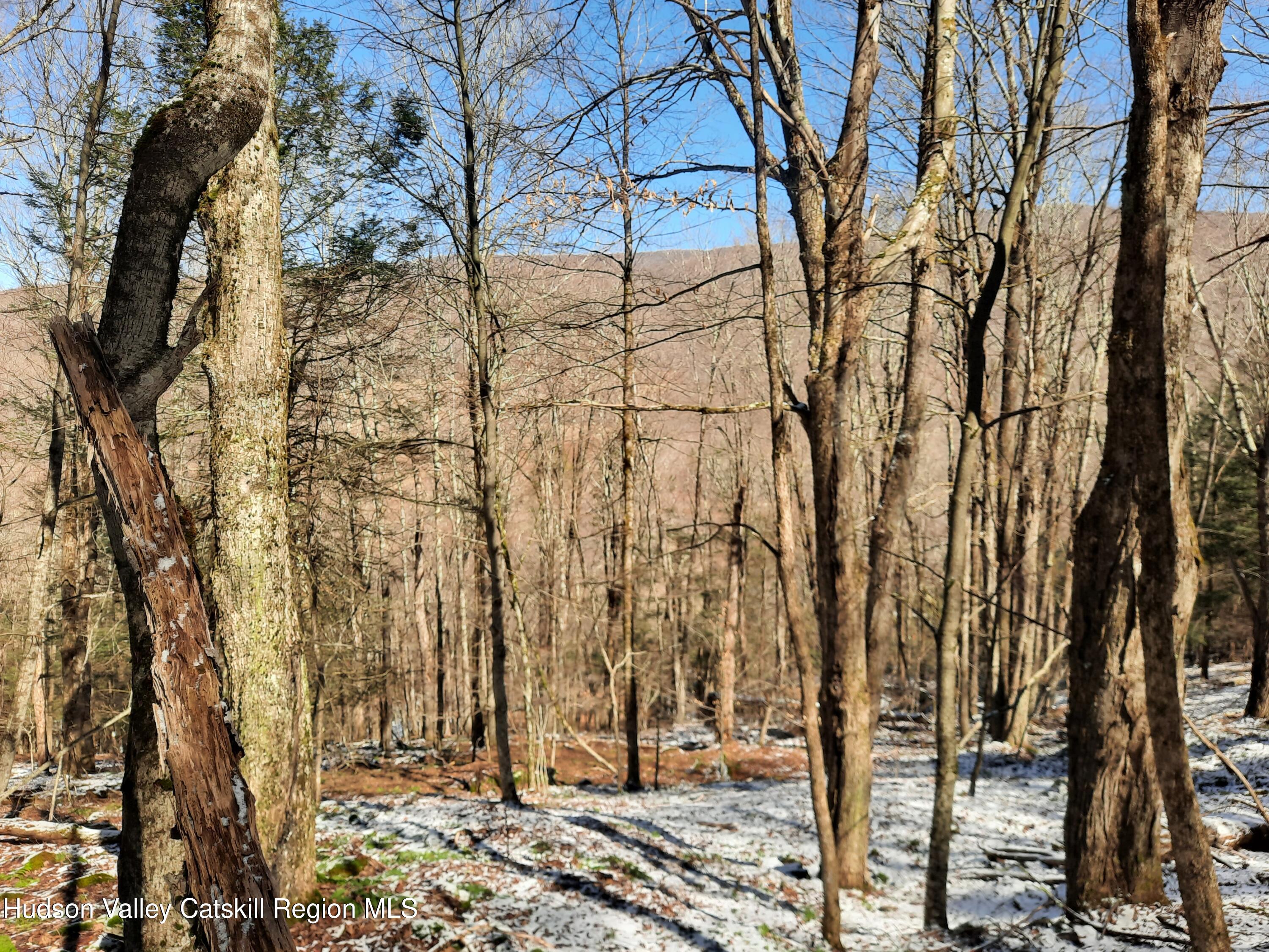 Tbd Rider Hollow Road Arkville, NY 12406 - Photo 7 of 29 20260324_120722