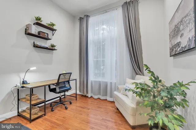 a living room with furniture and a potted plant