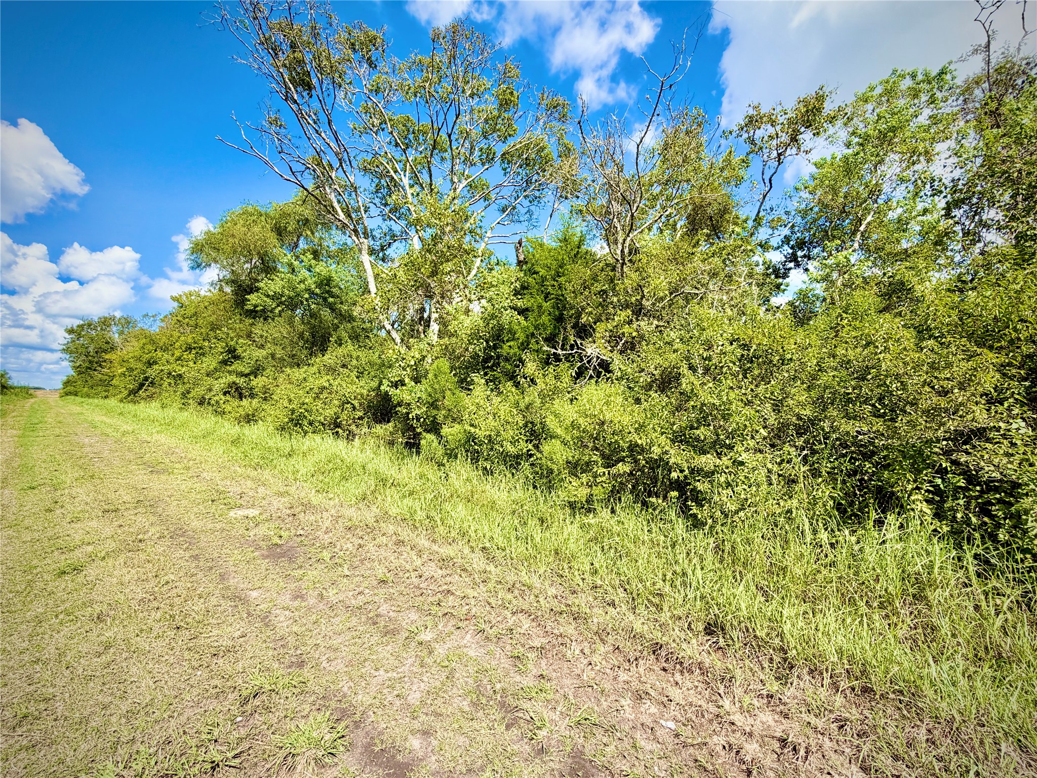 0 County Road 121 Rosharon, TX 77583 - Photo 4 of 11 Gallery Image 4