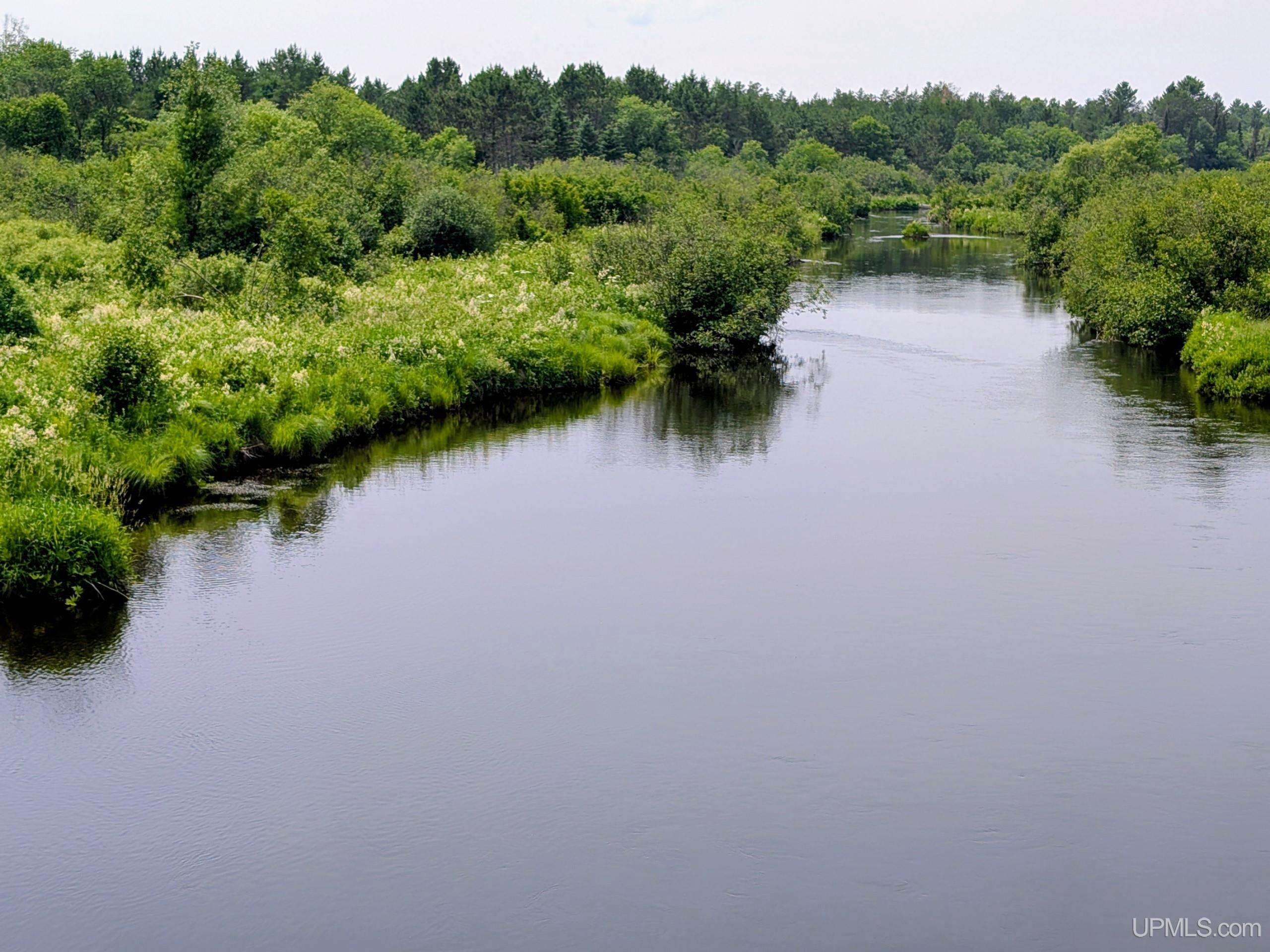 Tbd Pond Road Iron River, MI 49935 - Photo 15 of 26