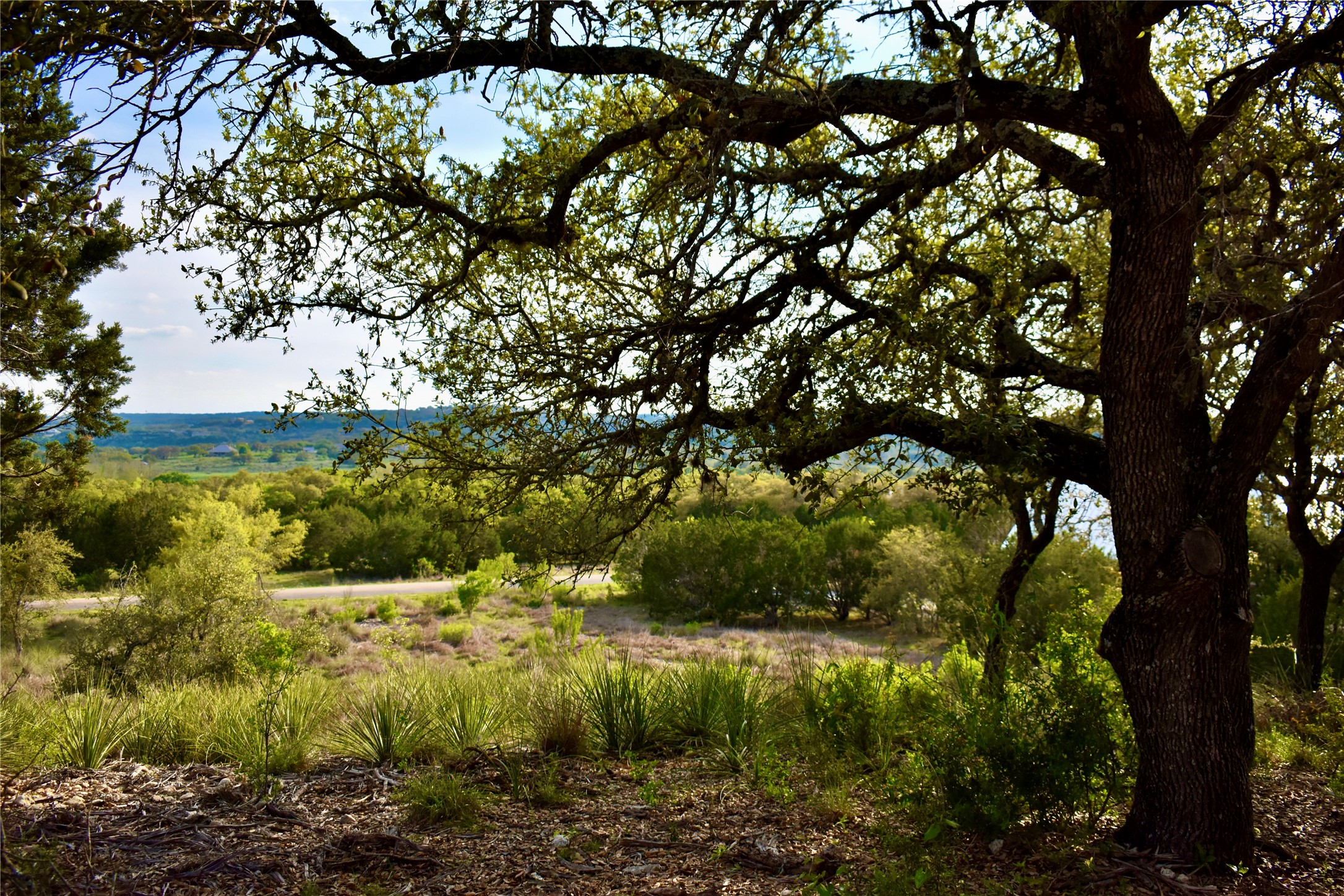 558 Rio Ridge Parkway Spring Branch, TX 78070 - Photo 2 of 10 a view of a garden