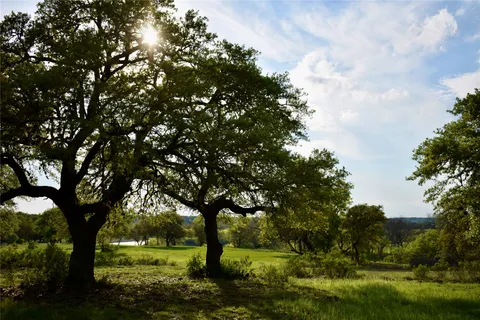 a view of yard with trees