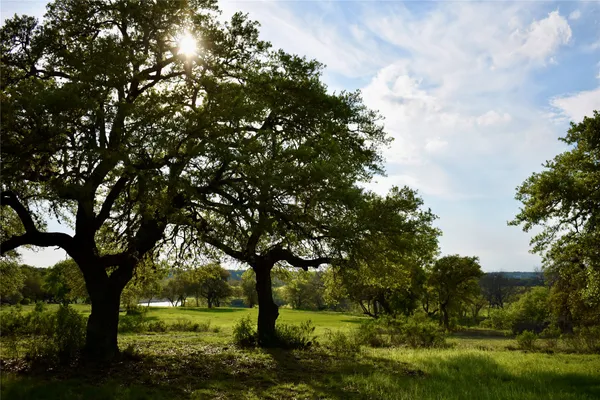 a view of yard with trees