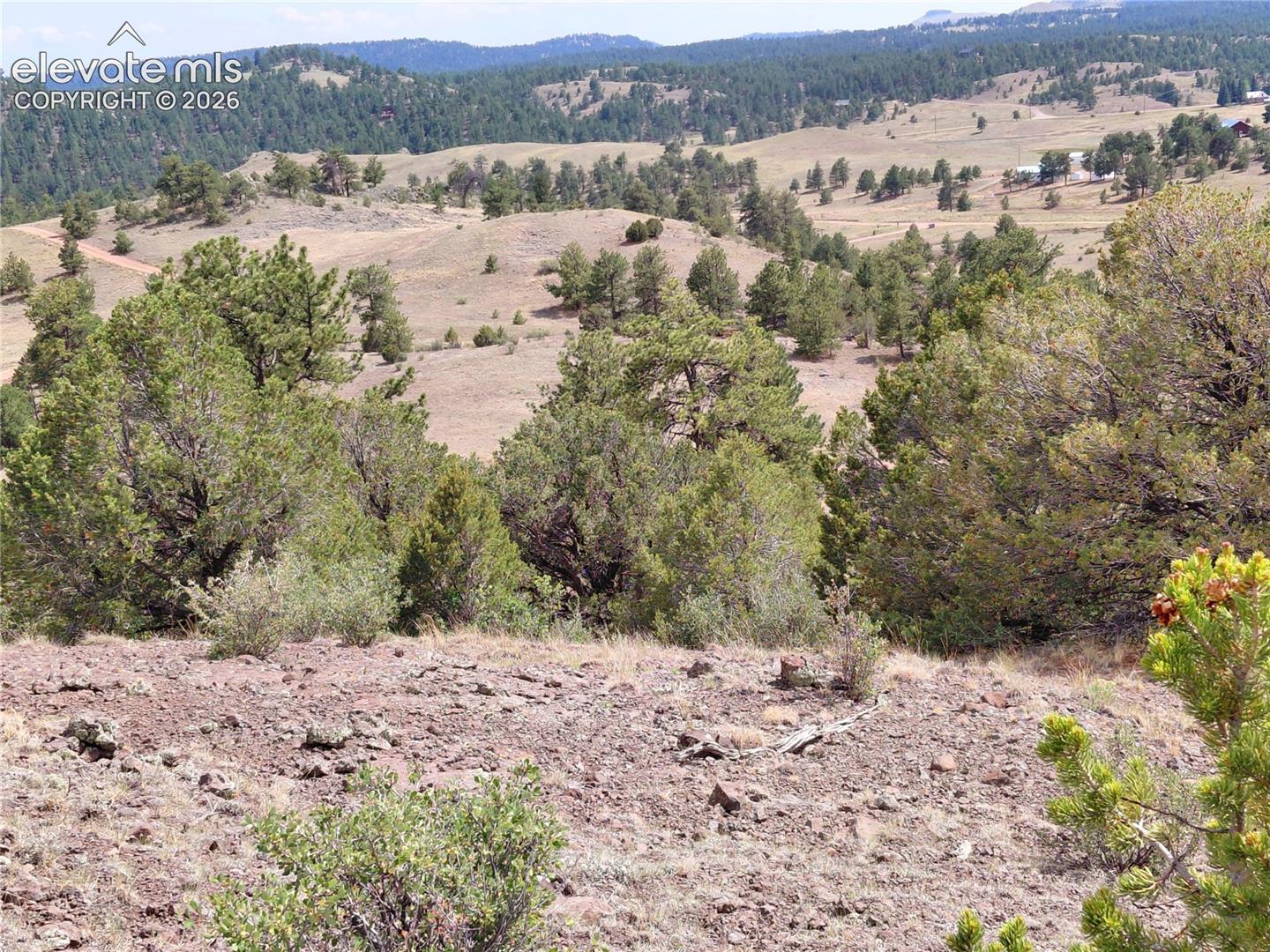 70 Owls Nest Road Guffey, CO 80820 - Photo 6 of 26 Gallery Image 6