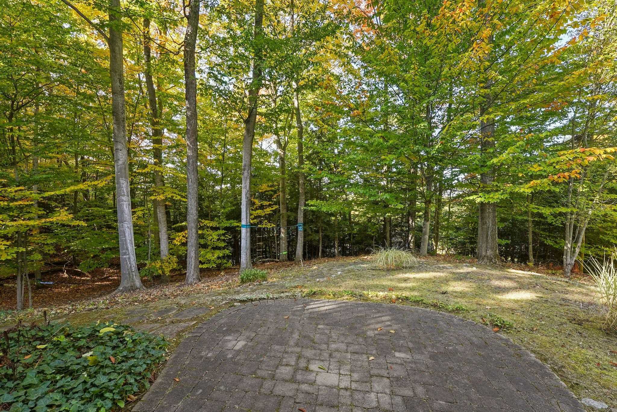 2491 Harbor Reach Road Traverse City, MI 49686 - Photo 64 of 66 1928375-428a83ab-99a2-4732-905a-060167b7af74.JPG