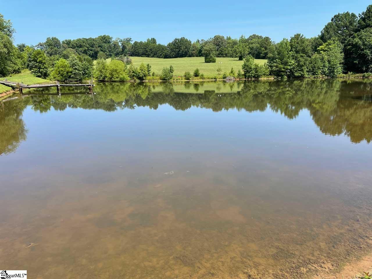 4425 Sandy Flat Road Taylors, SC 29687 - Photo 2 of 13