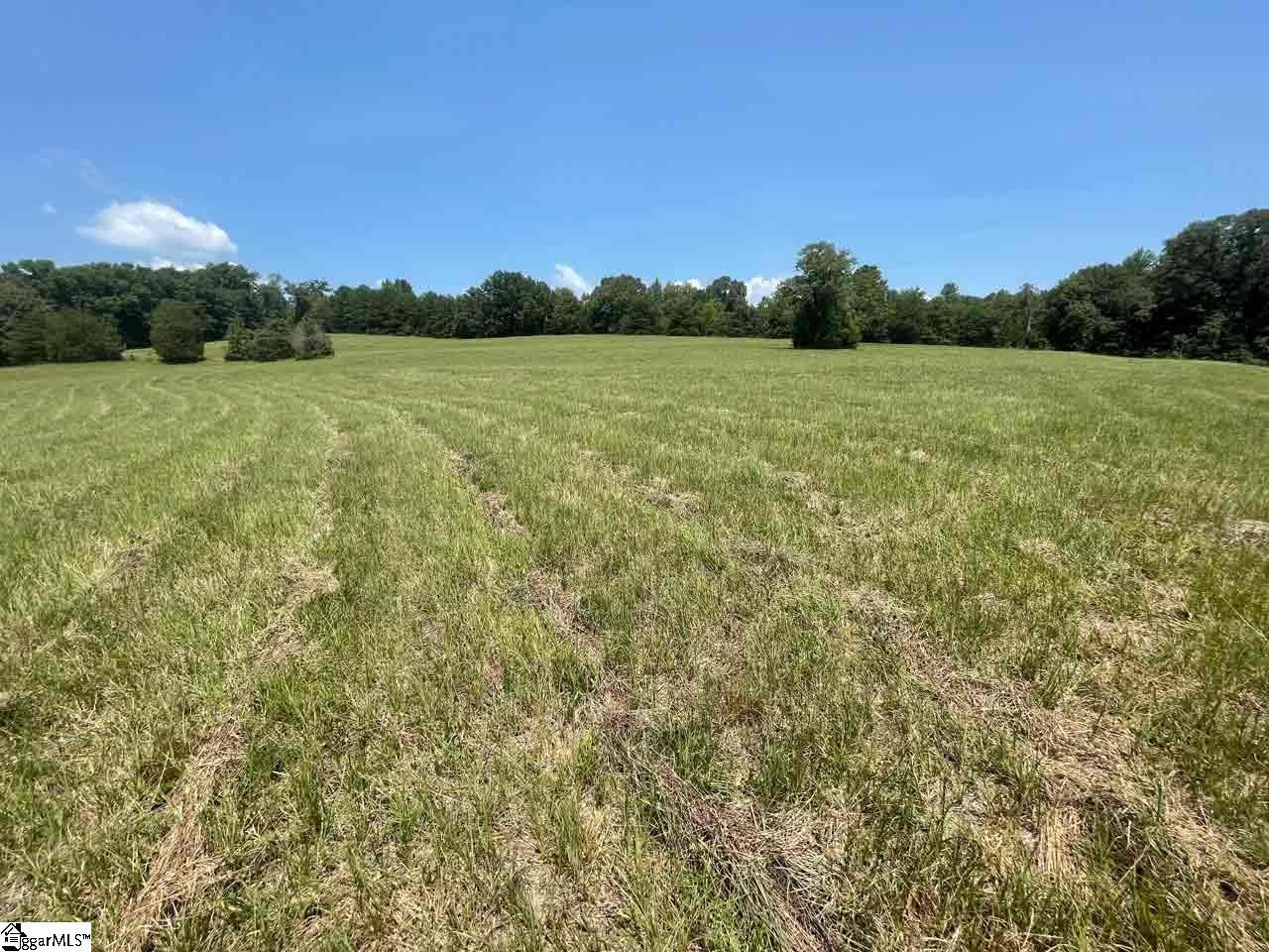 4425 Sandy Flat Road Taylors, SC 29687 - Photo 4 of 13
