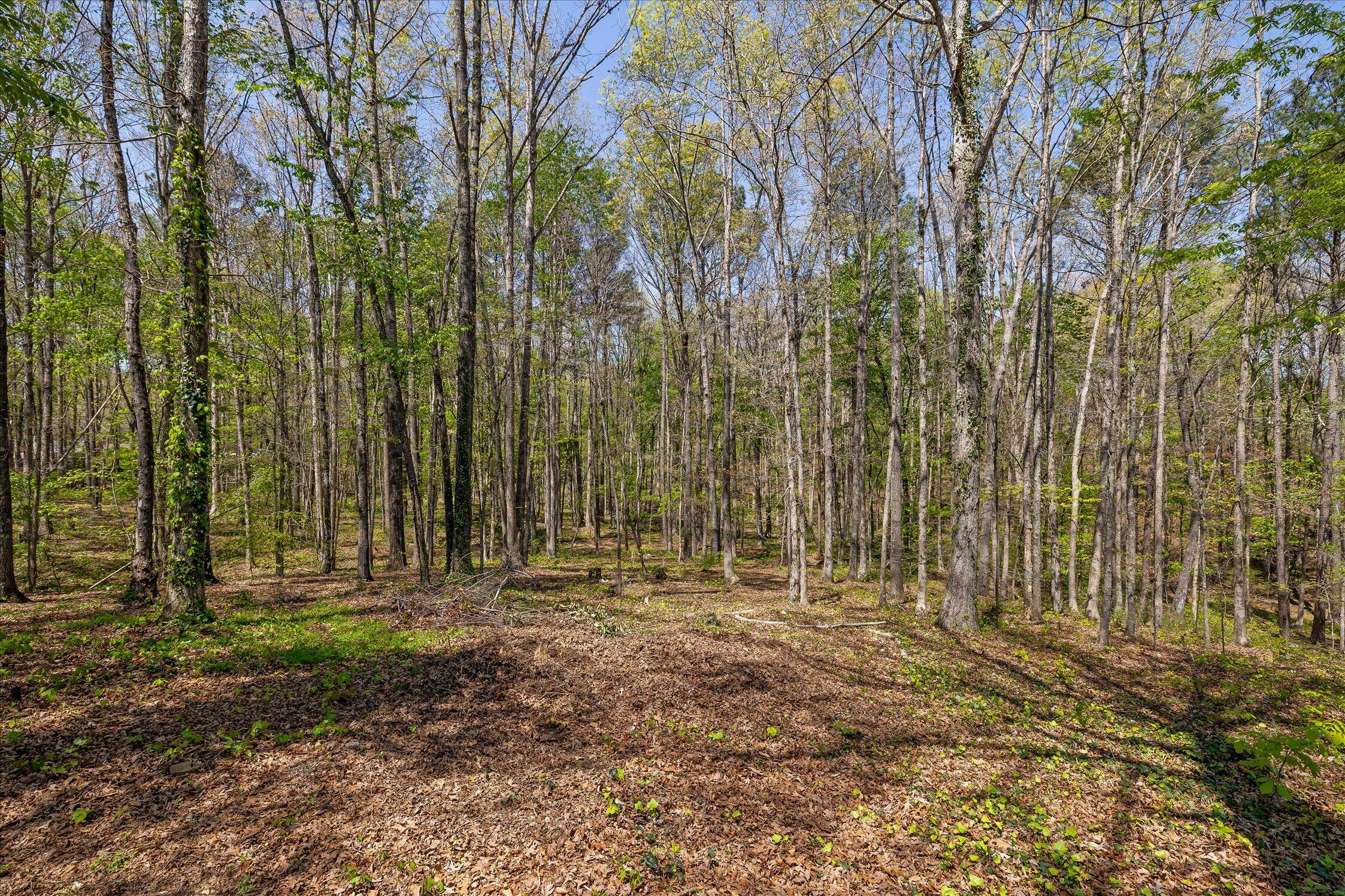 37 Azalea Drive Ringgold, GA 30736 - Photo 63 of 77 65-Azelea-65