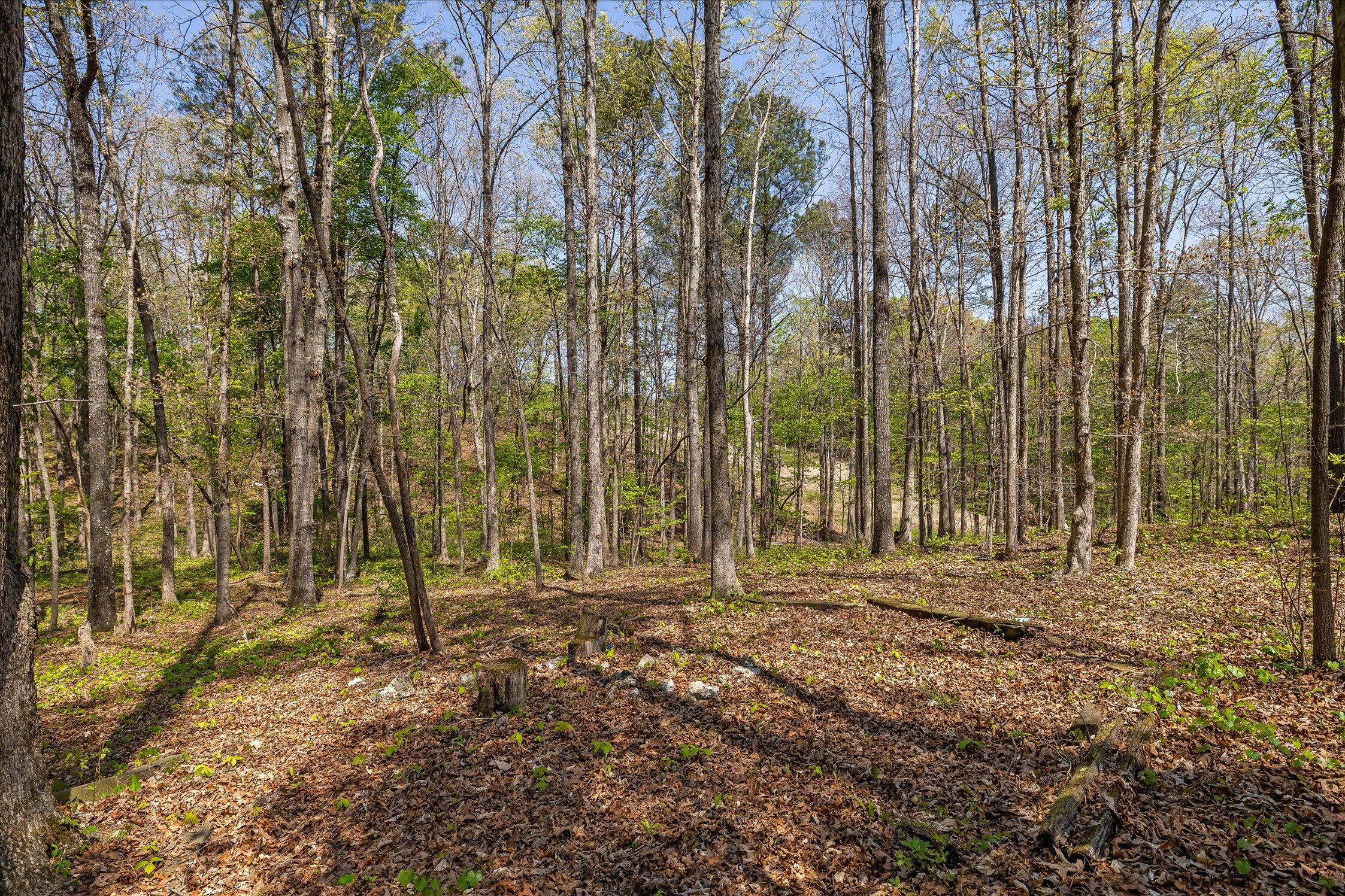 37 Azalea Drive Ringgold, GA 30736 - Photo 65 of 77 67-Azelea-67
