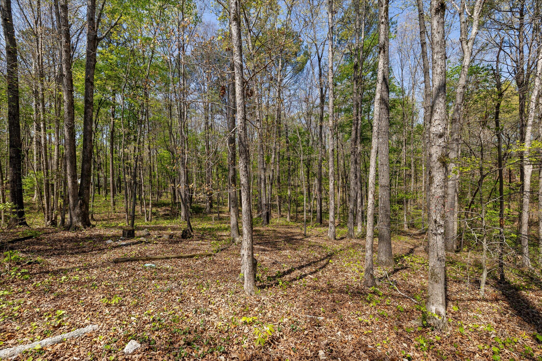 37 Azalea Drive Ringgold, GA 30736 - Photo 66 of 77 68-Azelea-68