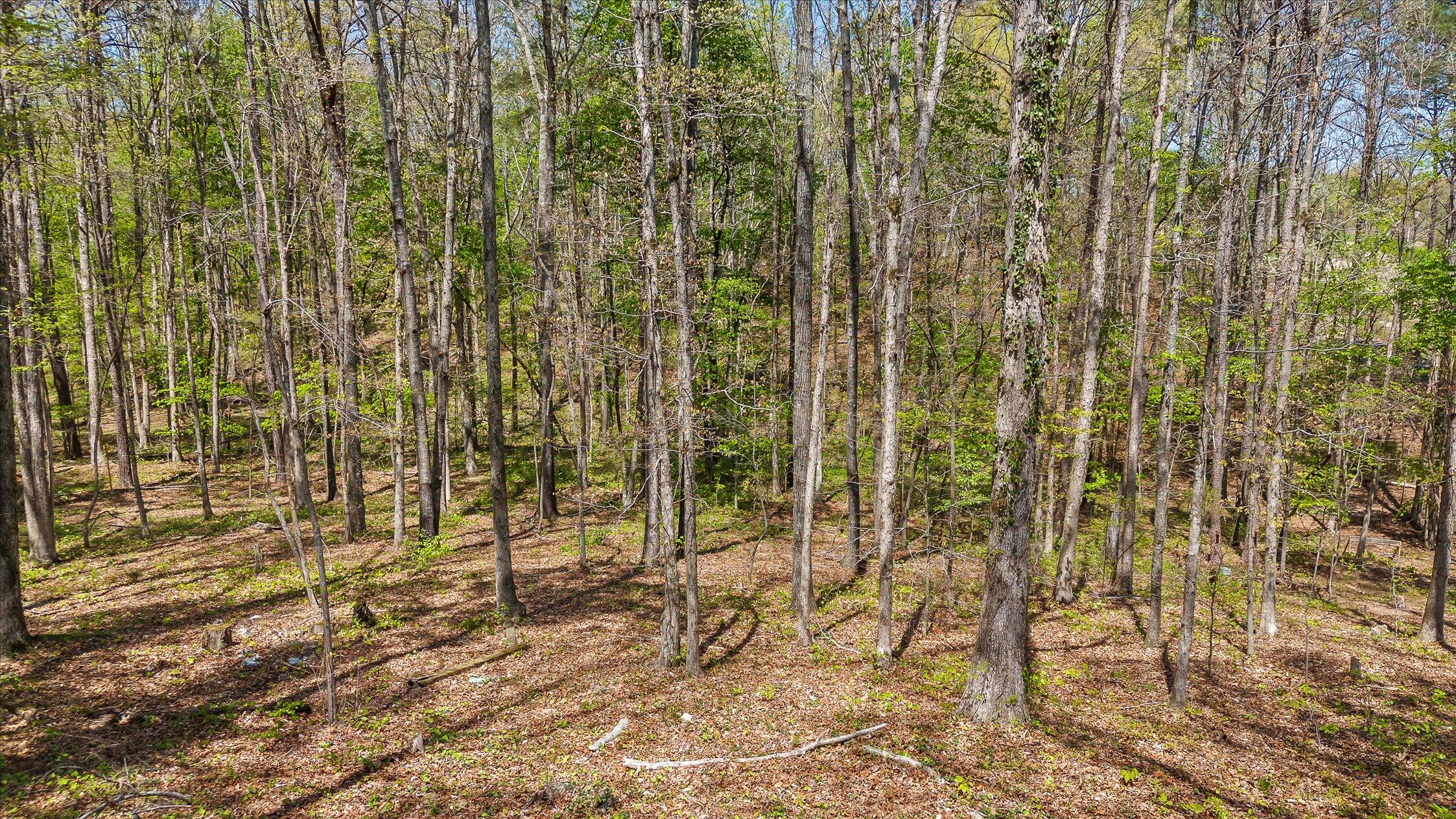 37 Azalea Drive Ringgold, GA 30736 - Photo 76 of 77 78-Azelea-78