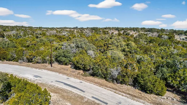 a view of a yard with a plant