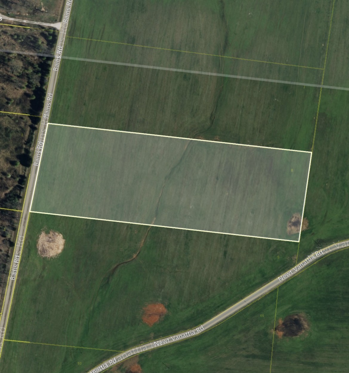 0 Bains Road Hillsboro, TN 37342 - Photo 2 of 5