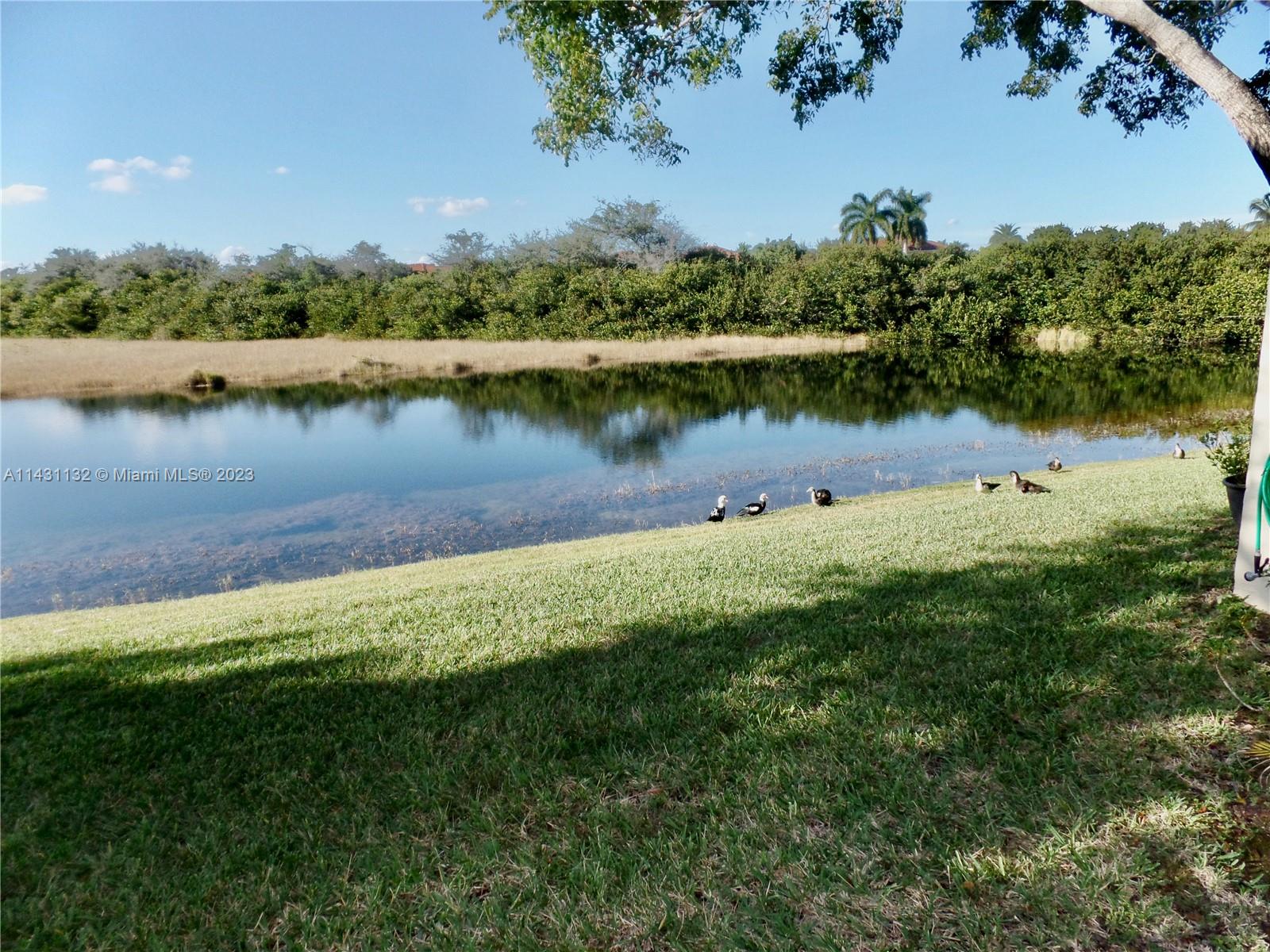 4744 Southwest 165th Avenue, Unit 4744 Miramar, FL 33027 - Photo 28 of 34 a view of a lake with houses in the back