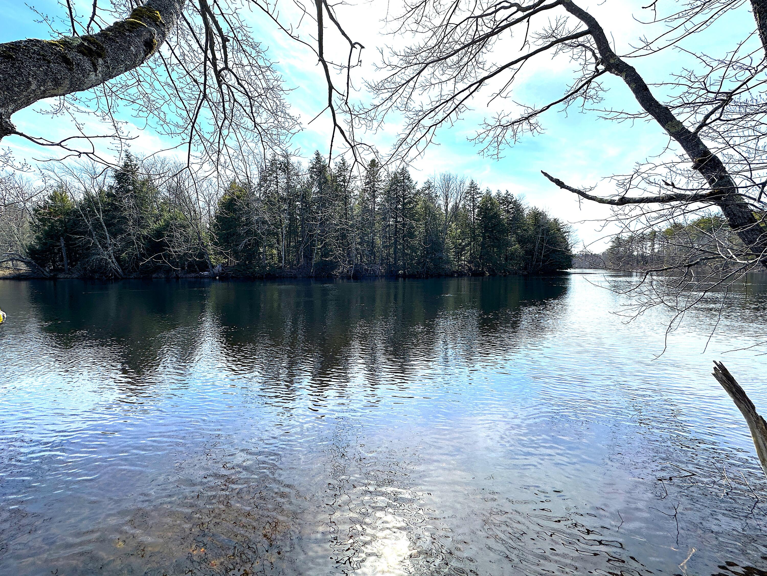0 North Road, Unit LOT #2 Parsonsfield, ME 04047 - Photo 41 of 42 IMG_4922