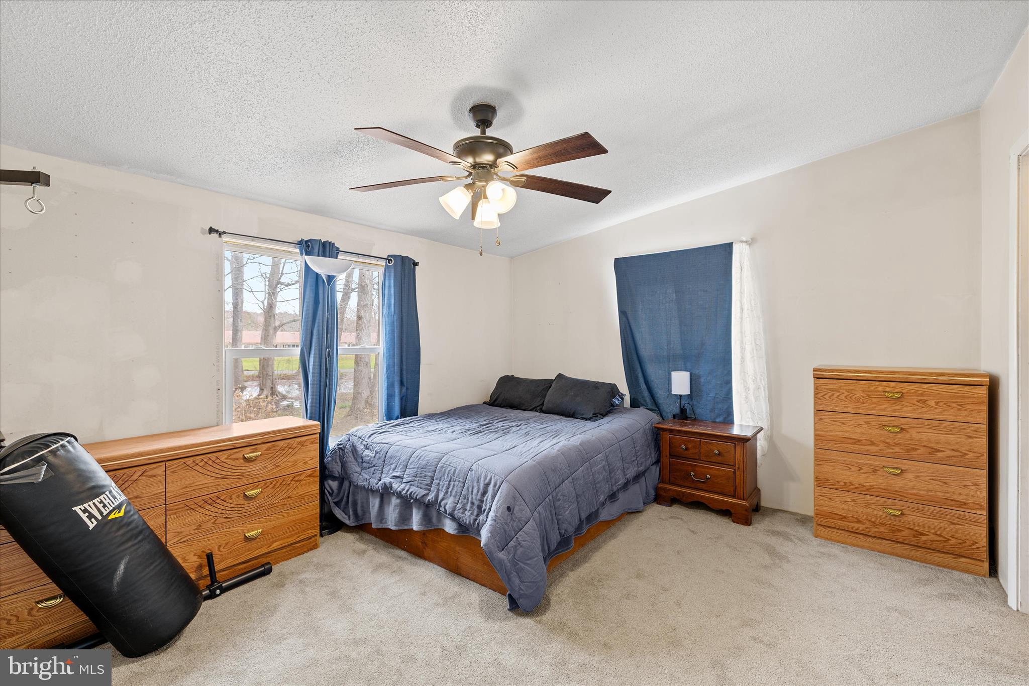 8966 Marshall Creek Road Newark, MD 21841 - Photo 21 of 44 Primary Bedroom