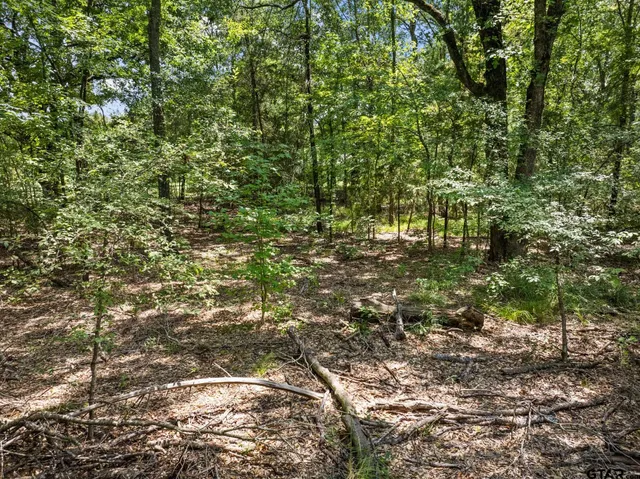 a view of a lush green field