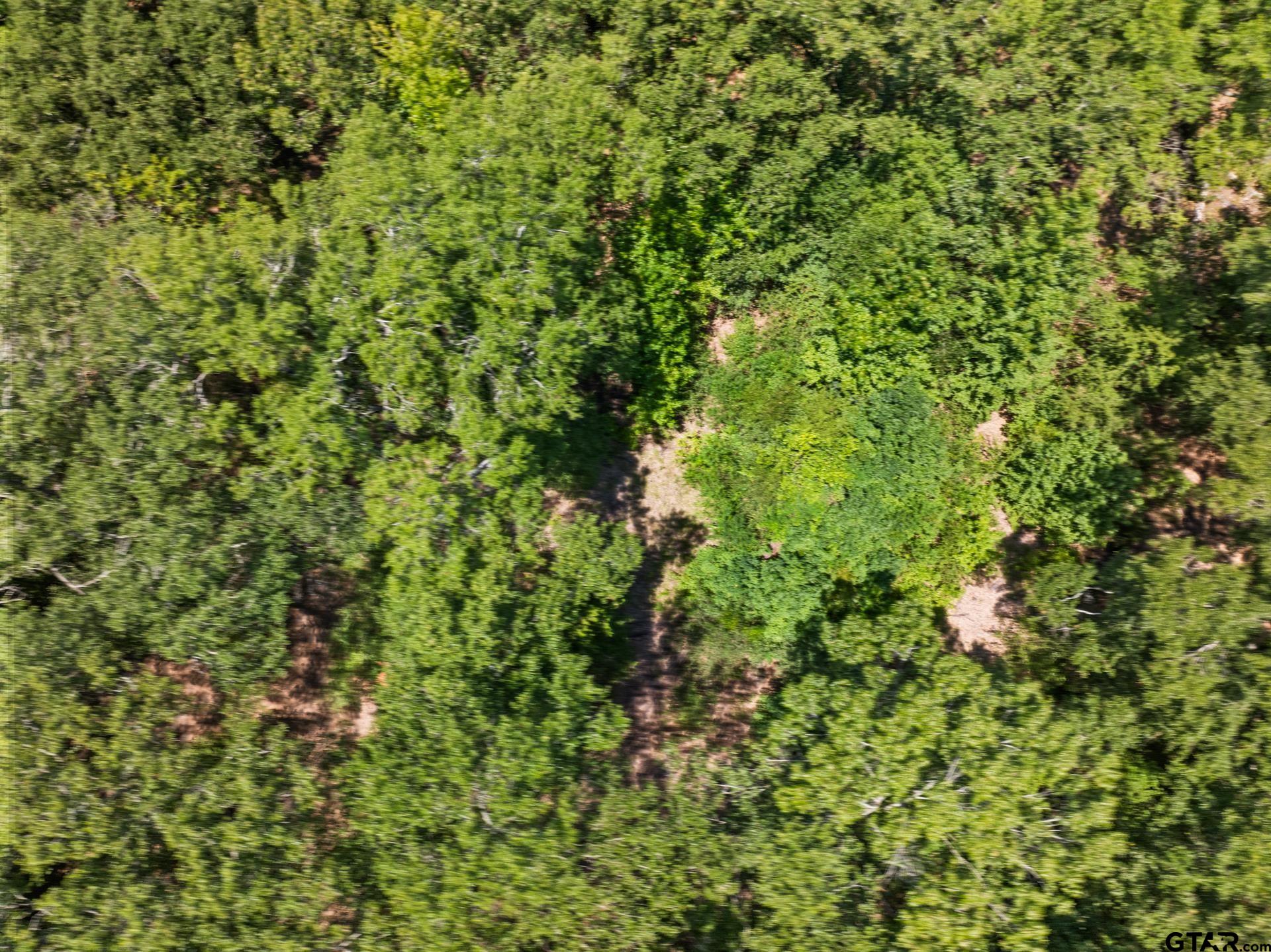 271 US Highway 271 Talco, TX 75487 - Photo 12 of 19 a view of a lush green field