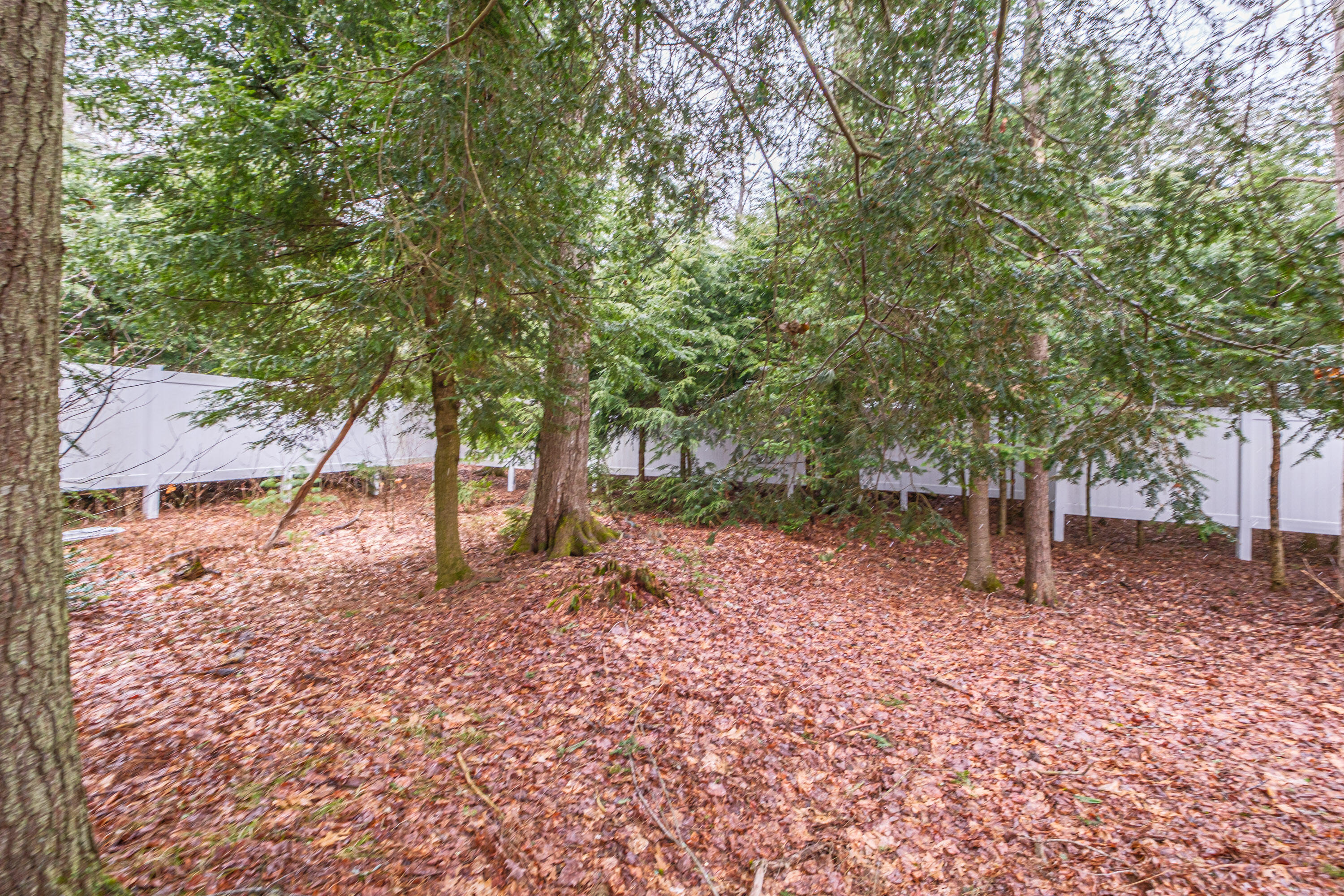 9 Merganser Lane Topsham, ME 04086 - Photo 11 of 48 20260407gp-63063