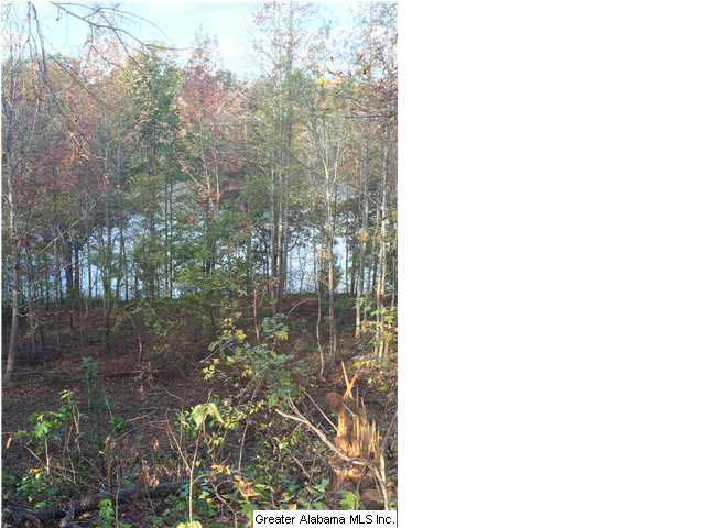 0 Highway 77, Unit 24 AC Ohatchee, AL 36271 - Photo 10 of 13
