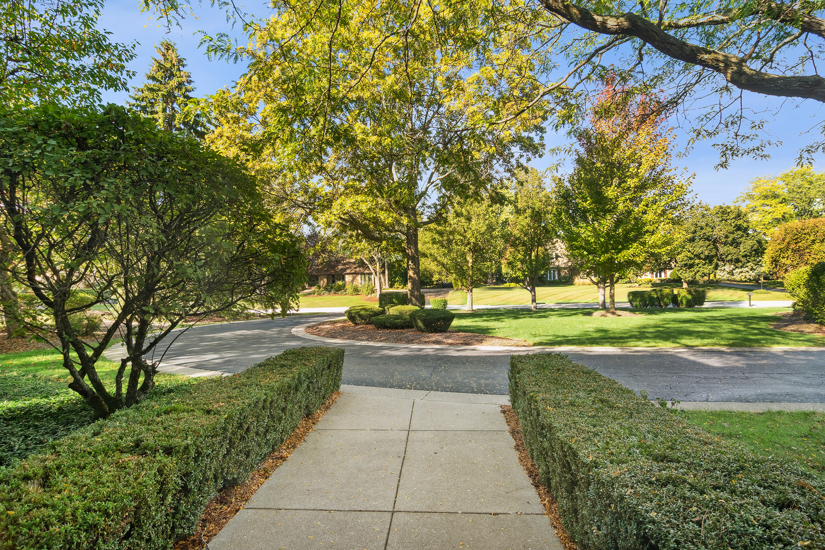 1515 Galloway Drive Inverness, IL 60010 - Photo 7 of 60 a view of yard with swimming pool and trees