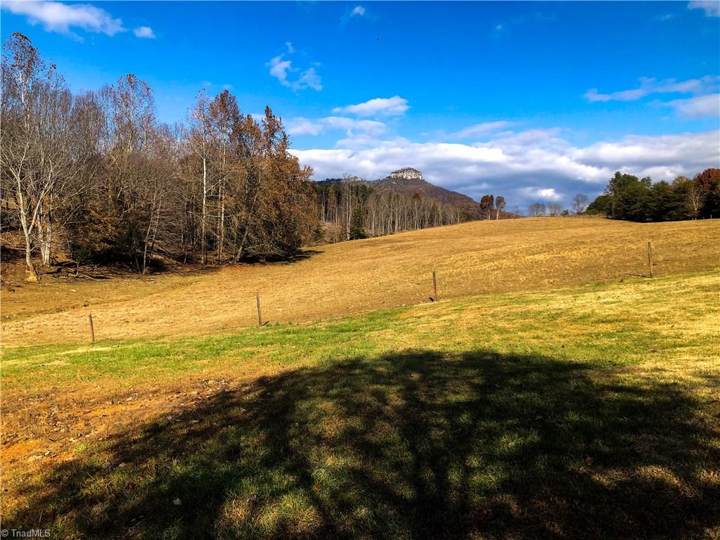 673 Mt Zion Road Pinnacle, NC 27043 - Photo 5 of 26 View of Pilot Mtn. across the back yard