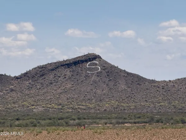 a view of a dry yard
