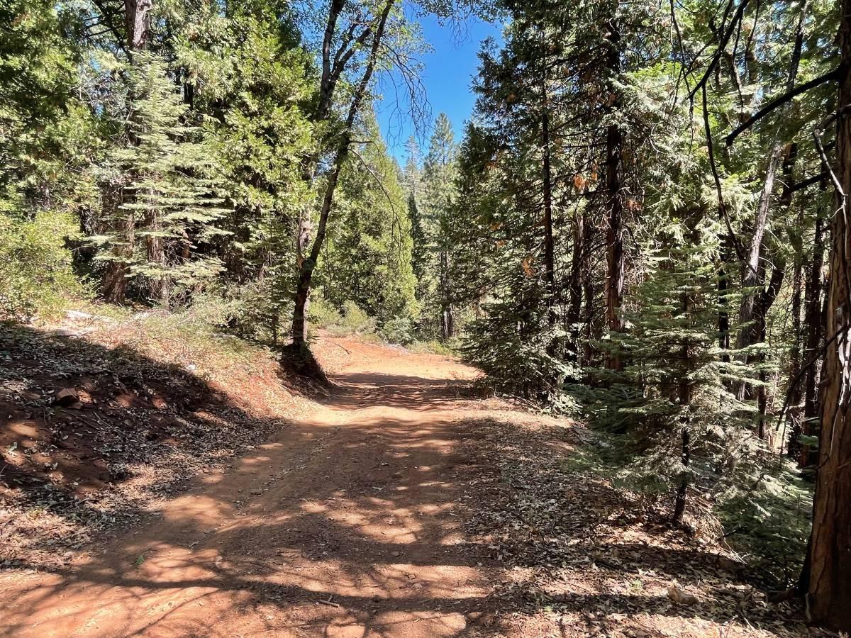 0 Dempsey Springs Road Nevada City, CA 95959 - Photo 1 of 1 Gallery Image 1
